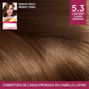 TINTA EXCELLENCE CASTANO CLARO DORADO 5.3