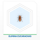 INSECTICIDA CUCARACHAS AEROSOL RAID EXTERMINADOR