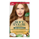 TINTA SOFT COLOR 73 AVELLANA S/AMONIACO