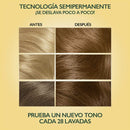 TINTA SOFT COLOR 73 AVELLANA S/AMONIACO