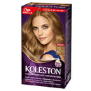 TINTA KOLESTON KIT 73 RUBIO AVELLANA