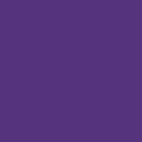 TINTA ISSUE CRAZY COLORS VIOLETA