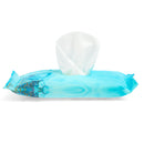 TOALLITAS HUMEDAS WETCLEAN X10 CELESTE