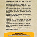 PLANTILLAS CANELA 39/40