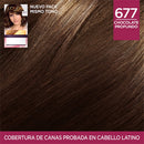 TINTA EXCELLENCE CHOCOLATE PURO 677
