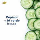 DESODORANTE AEROSOL DOVE GOFRESH PEPINO 150ML ANT.