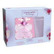 ESTUCHE CASAPUEBLO FEELINGS LOVE EDT 100ML +B.LOTI