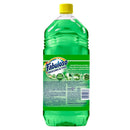 FABULOSO PAS.DE FRUTAS 2L