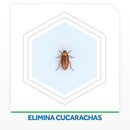 INSECTICIDA CUCARACHA JERINGA RAID