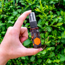 APIFORT SPRAY ORAL 15ML.