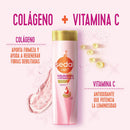 SHAMPOO SEDAL COLAGENO+VITAMINA C 190ML