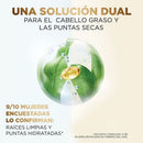 SHAMPOO PANTENE EQUILIBRIO 510ML