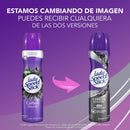 LADY SPEED STICK DESOD.AEROSOL CARBON ABSORBS 151M
