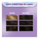 TINTA KOLESTON KIT 31 CASTANO OSCURO CENIZO