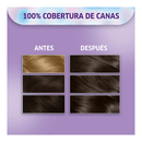 TINTA KOLESTON KIT 41 CASTANO MEDIO CENIZO ENIGMAT