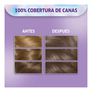 TINTA KOLESTON KIT 718 RUBIO MEDIO PERLADO ILUMINA