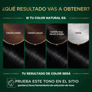 NUTRISSE OLEO 1.0 NEGRO