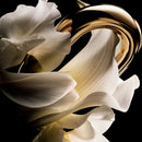 PACO RABANNE MILLON GOLD FOR HER EDP 30ML.