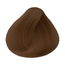 SOFT COLOR NEW 61